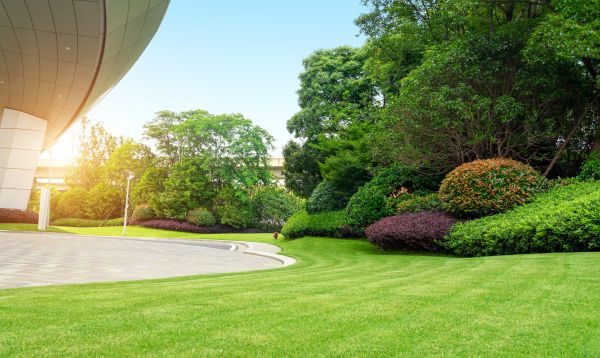 Commercial Shrub Trimming in Nashua