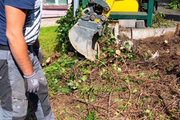 Hedge Removal Service in Nashua