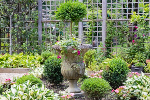 Cost of Topiary Pruning in Nashua