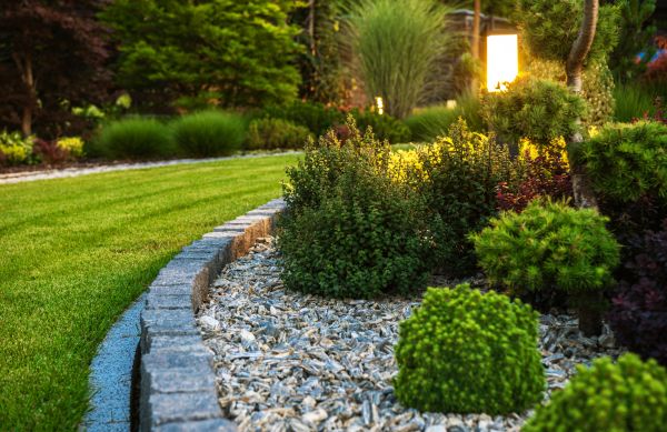 Bush Relocation in Nashua