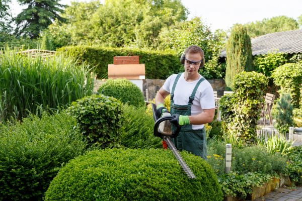 Shrubs Trimming in Nashua