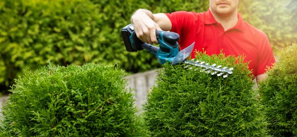 Cost of Hedge Shaping Service in Nashua