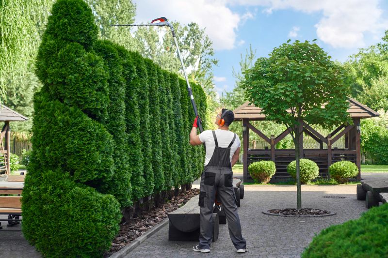 Landscape Shrub Maintenance