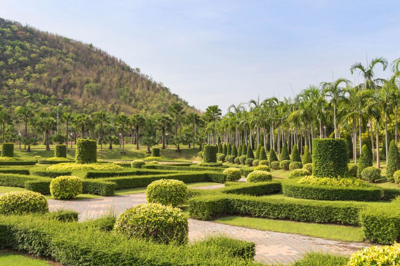 Shrubs with Precise Pruning